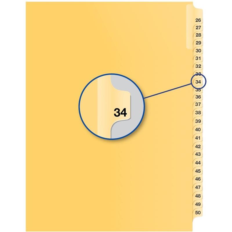 Image Individual Numerical Litigation Index Dividers