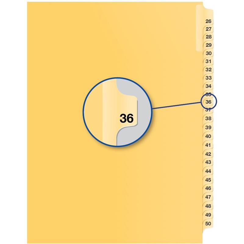 Image Individual Numerical Litigation Index Dividers