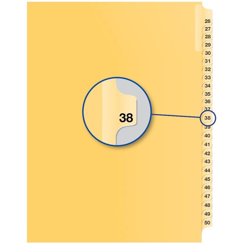 Image Individual Numerical Litigation Index Dividers