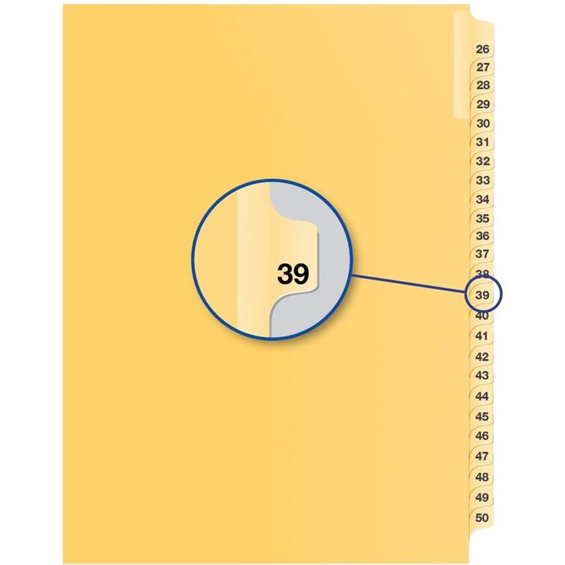 Image Individual Numerical Litigation Index Dividers