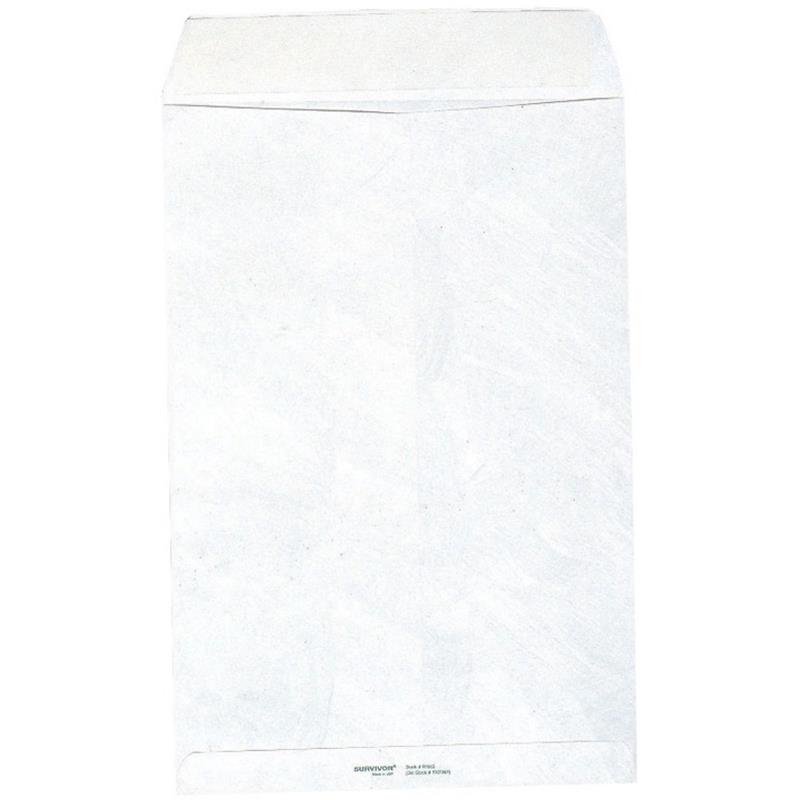 Image White Catalogue Envelope